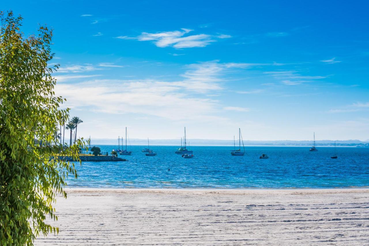 Ideal Mallorca - Blue Palm