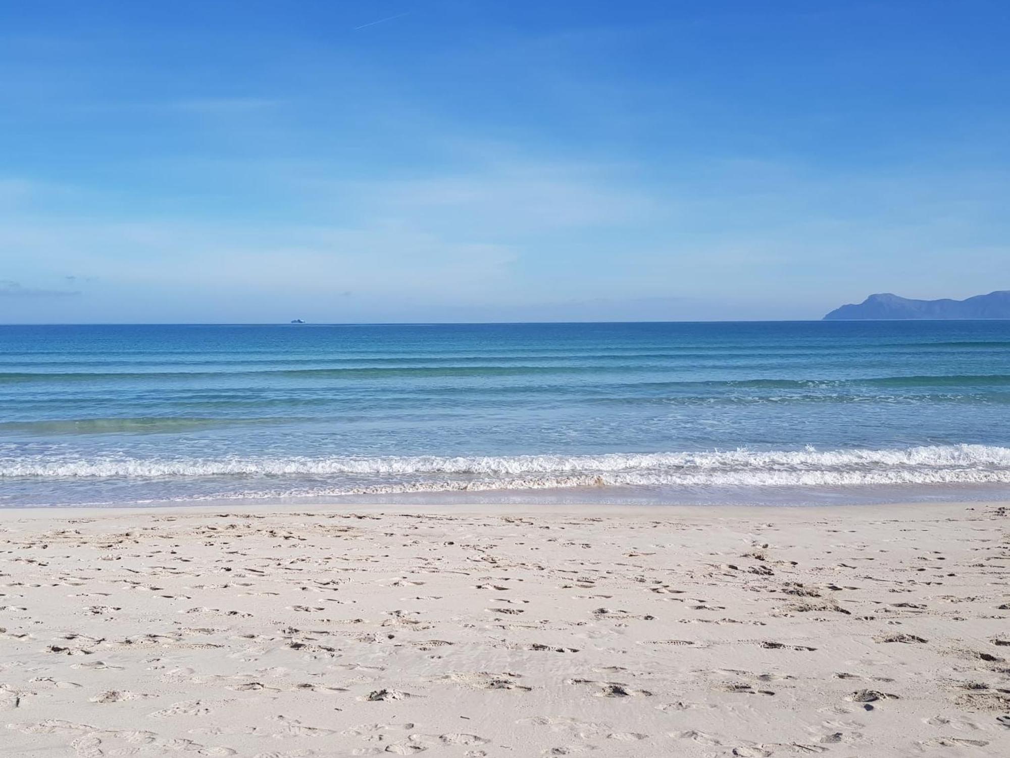 Ideal Mallorca - Blue Palm * Alcudia (Mallorca)