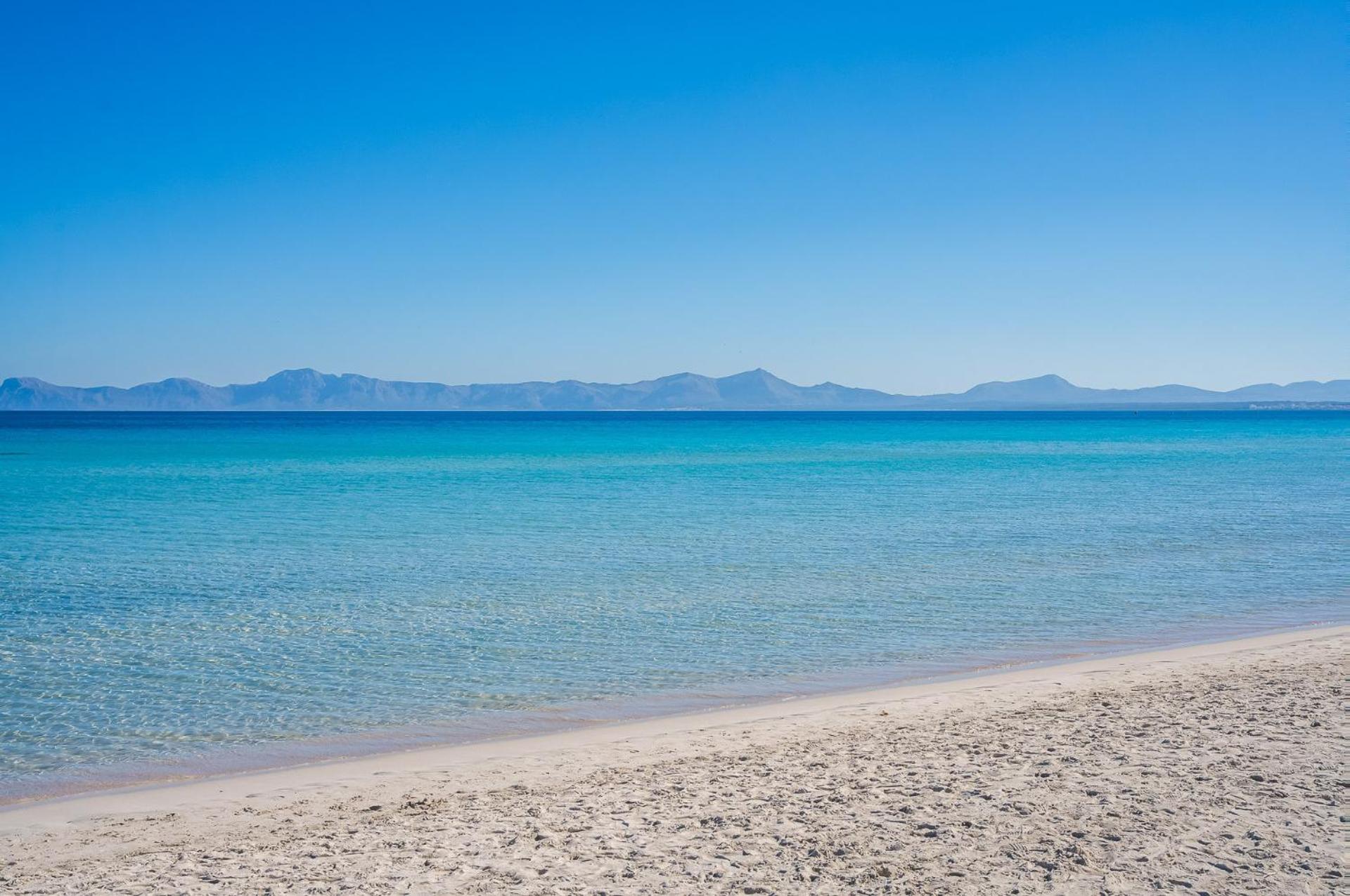 Ideal Mallorca - Blue Palm Apartment Alcudia (Mallorca)